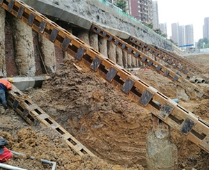 合肥临泉路...